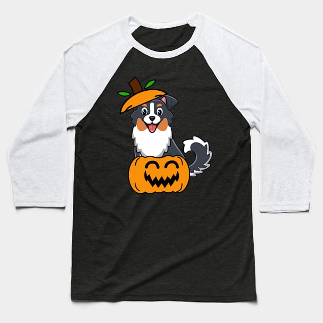 Cute Collie Dog is in a pumpkin Baseball T-Shirt by Pet Station